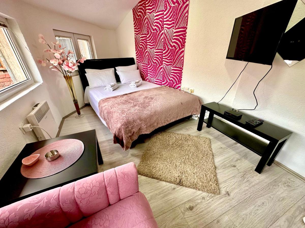 Apartmani Aleksandra U Centru Grada Kragujevac Dış mekan fotoğraf
