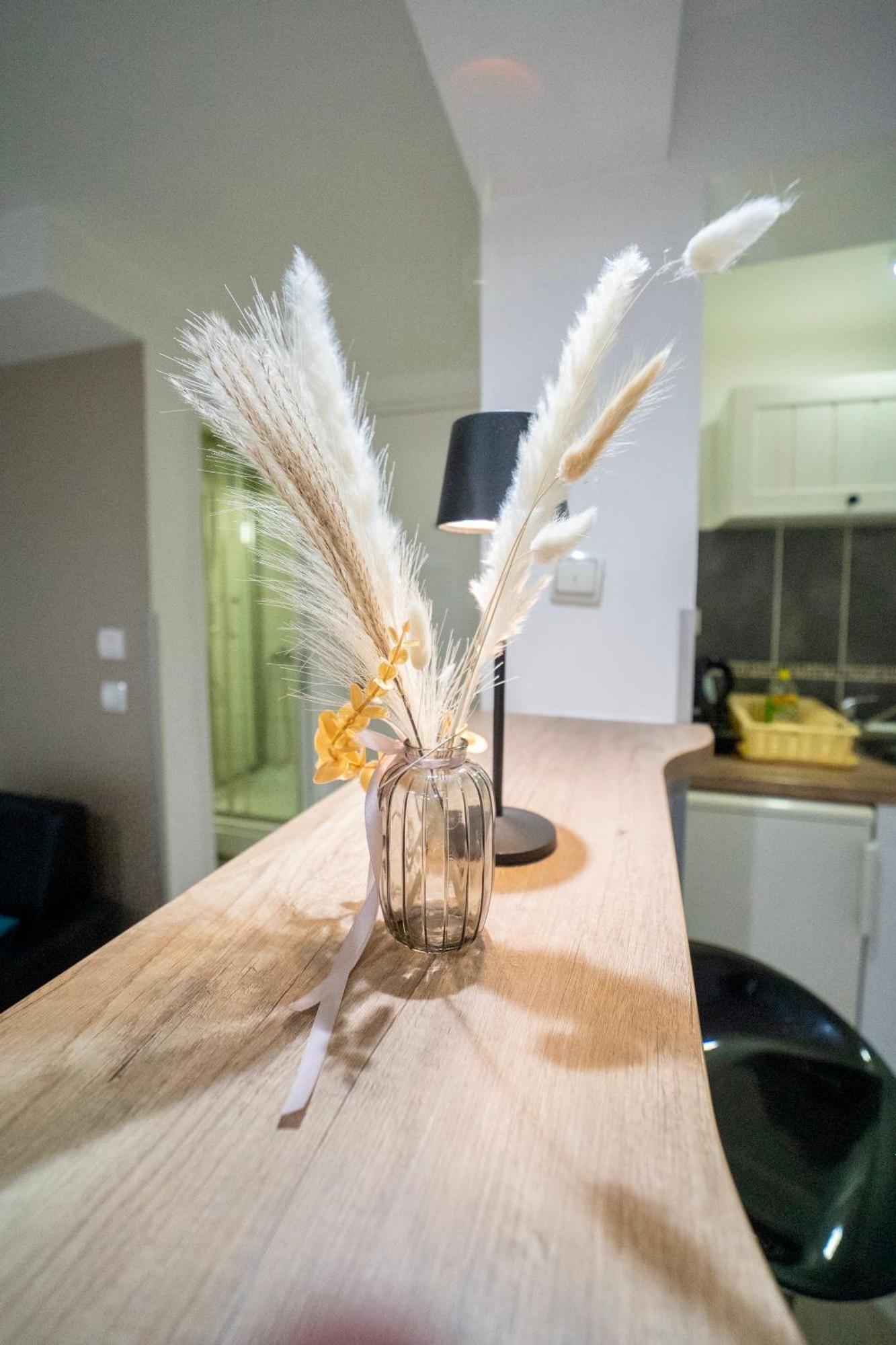 Apartmani Aleksandra U Centru Grada Kragujevac Dış mekan fotoğraf